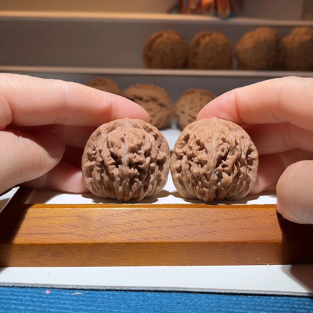 38平谷四座楼，菊花底