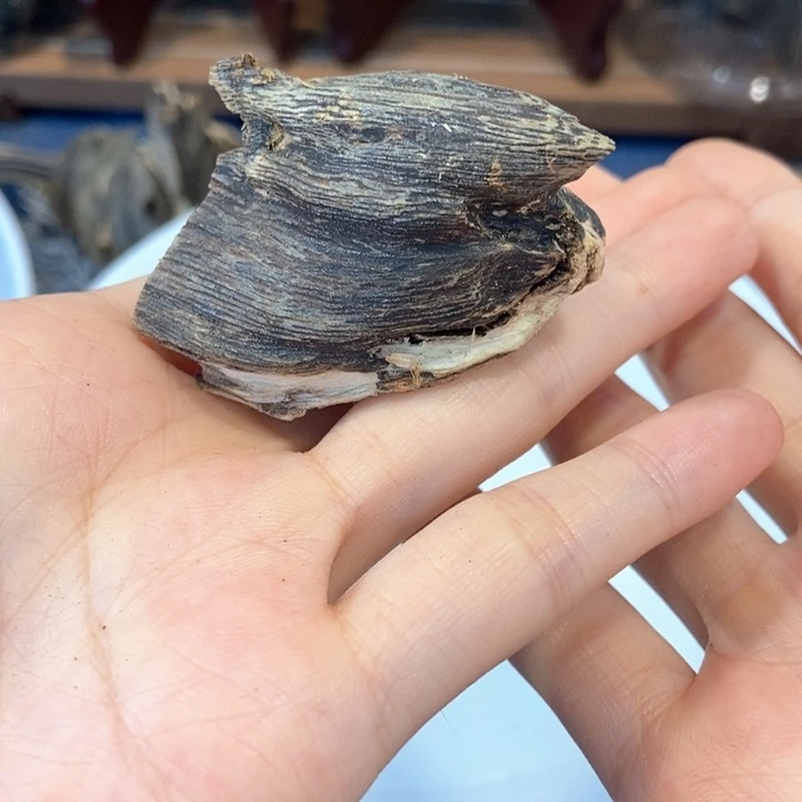 用***4沉香碎屑沉香奇楠虎班棋6.5克多样性发一