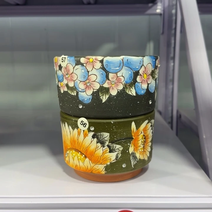 红陶初**雨田小姐多肉花盆