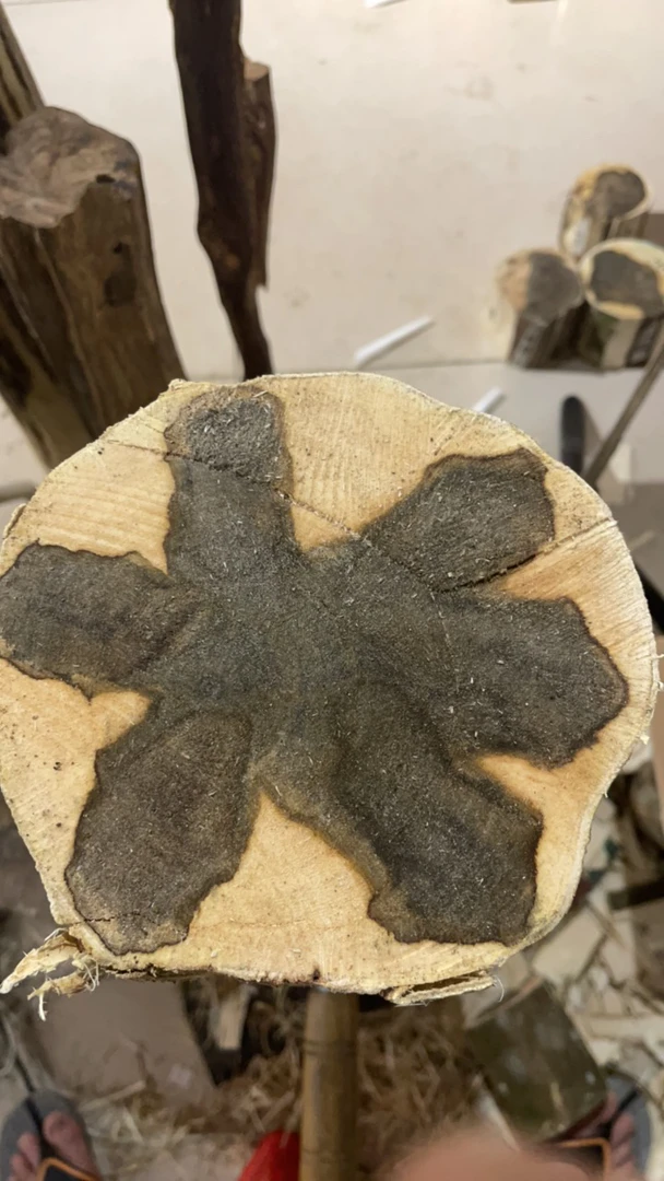 m3沉香原木摆件大摆件定制多样性发货1