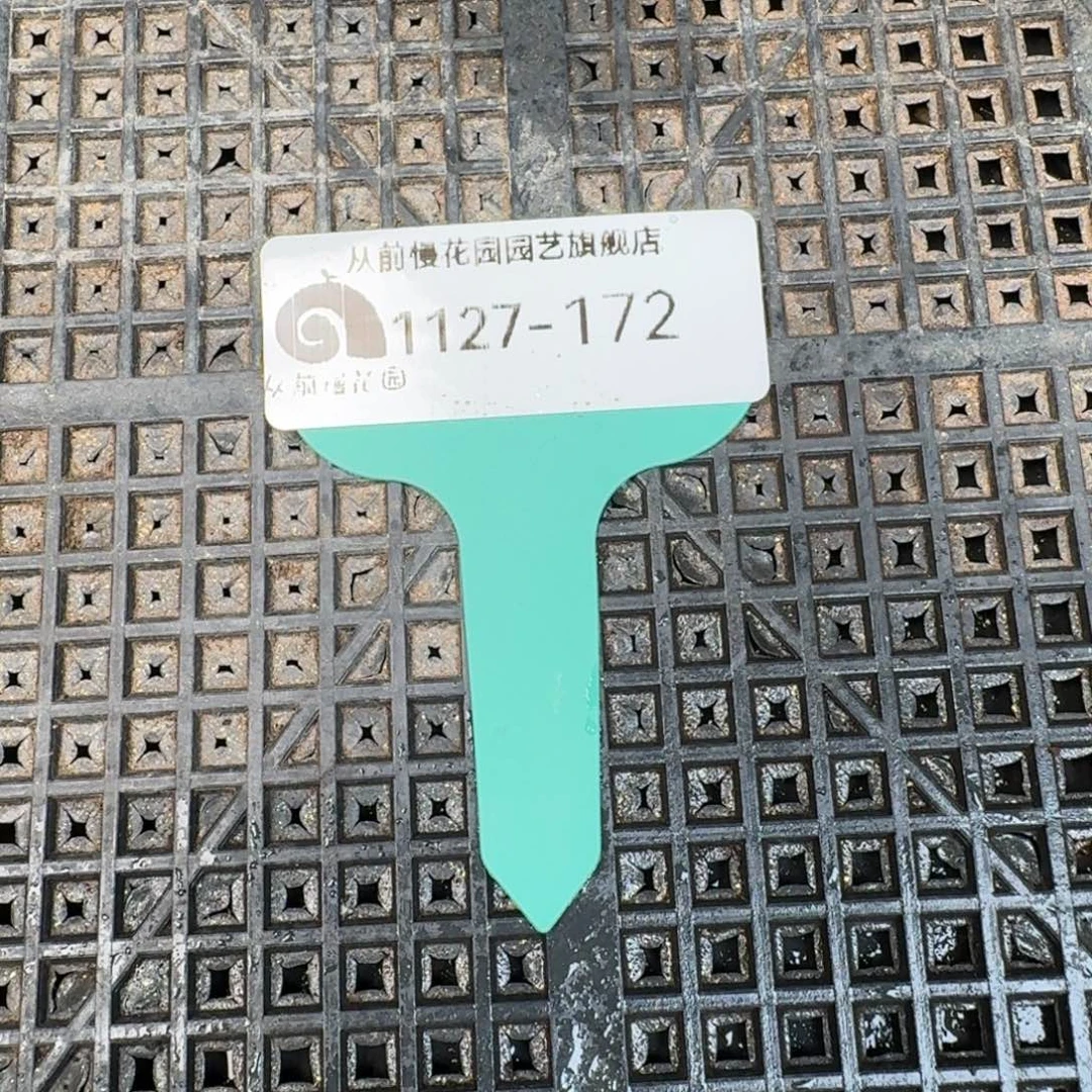 从前慢花园多肉编号1127.172