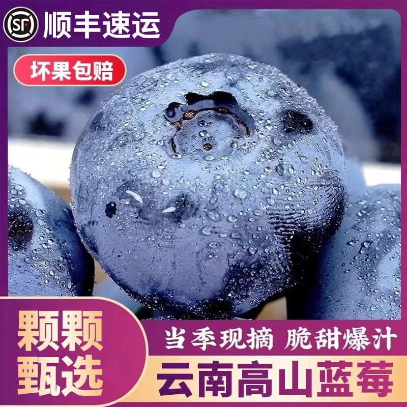 【顺丰京东】云南脆甜蓝莓新鲜现摘现发应季水果脆甜(100g/盒)
