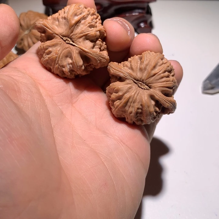 把件文玩核桃磨****精白狮子