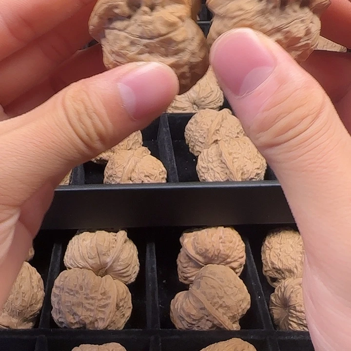 *****吊坠龙脊菩提啊啊啊啊啊啊啊南瓜1