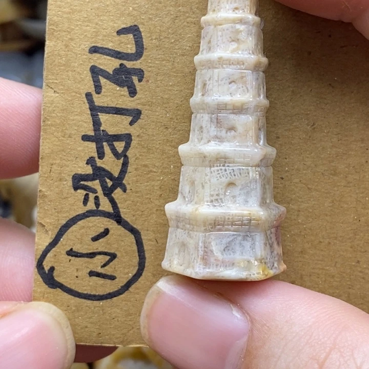 硅化珊瑚（珊瑚玉）未镶嵌颈饰