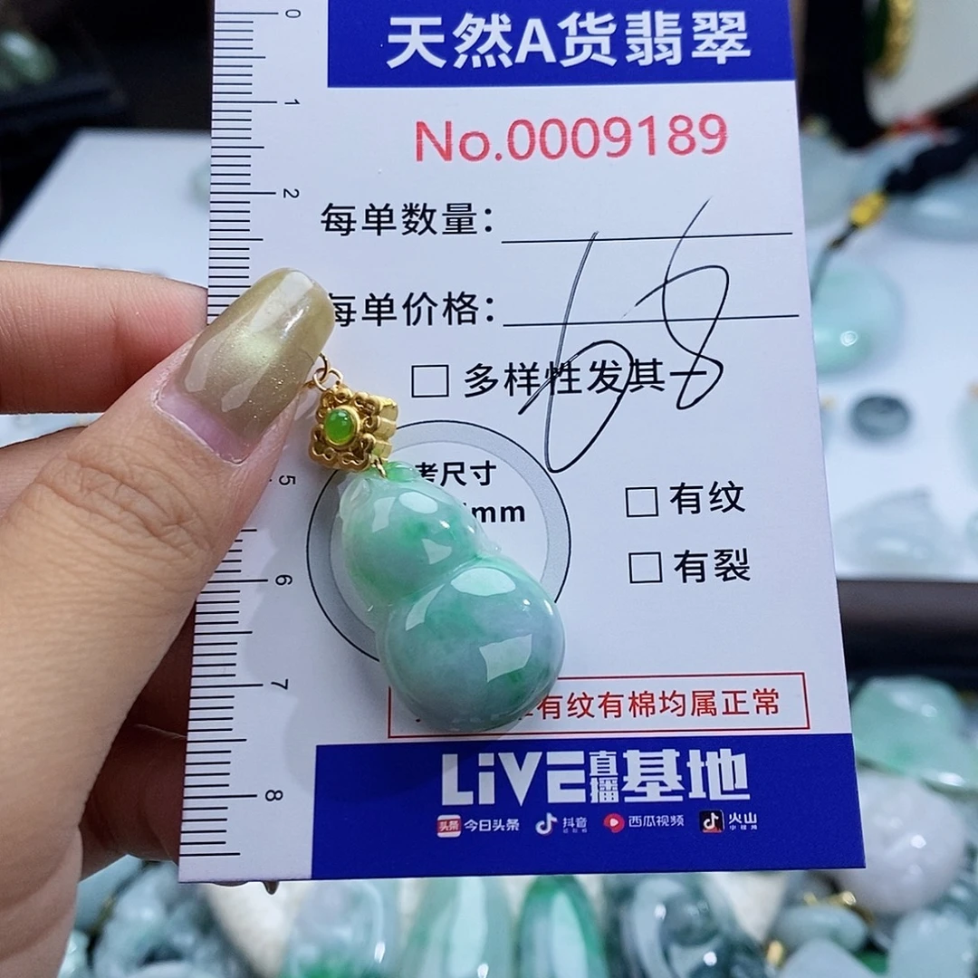 翡翠未镶嵌颈饰9789