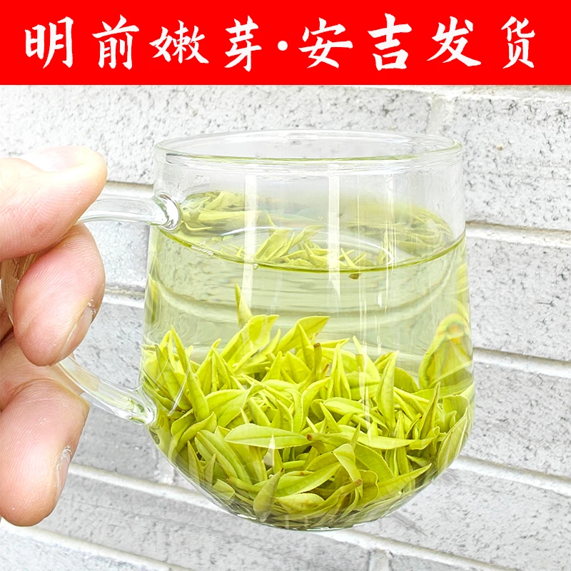 A08明前精品安吉白茶兰花香回甘好正宗原产地2025年新茶高山绿茶