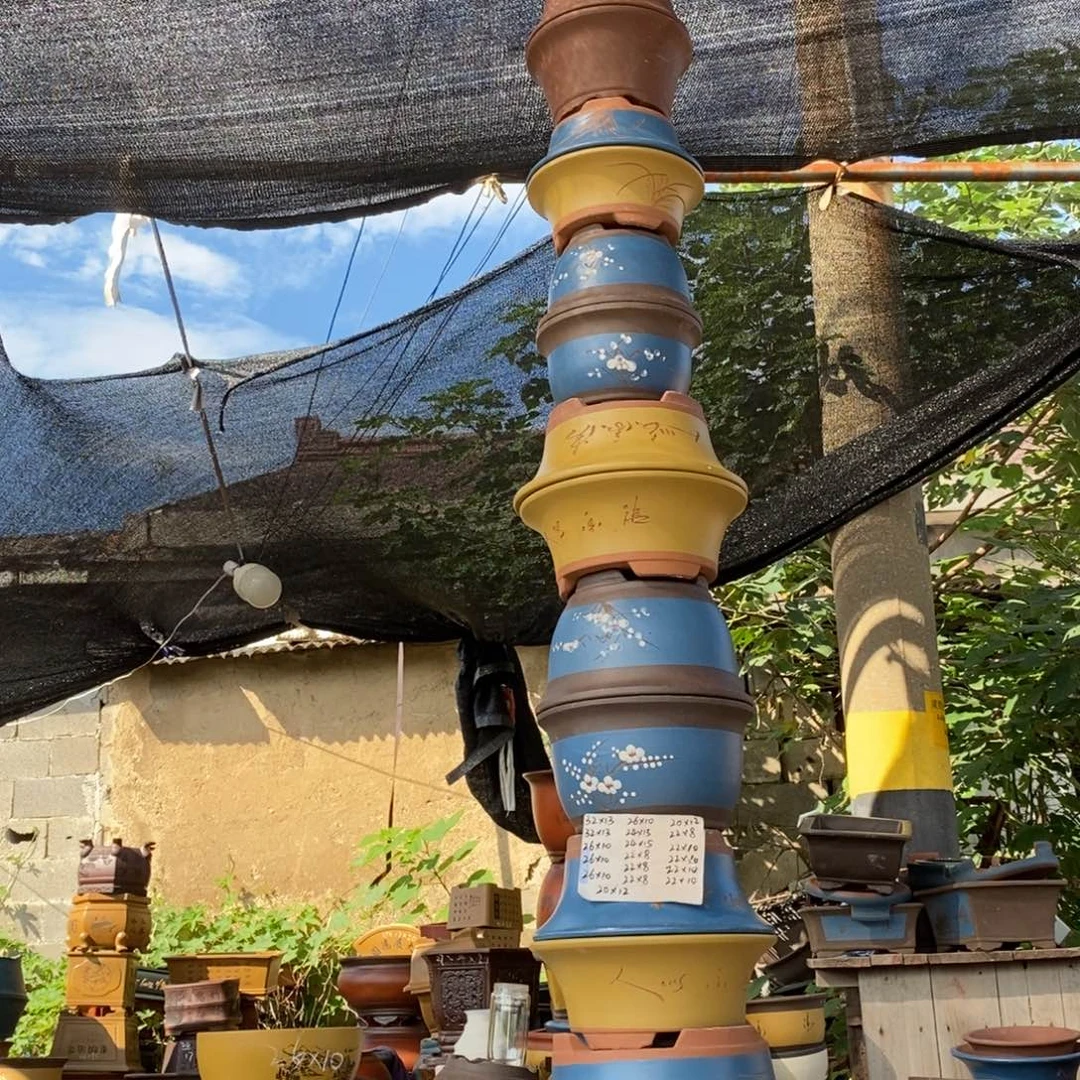 紫砂紫砂紫砂紫砂