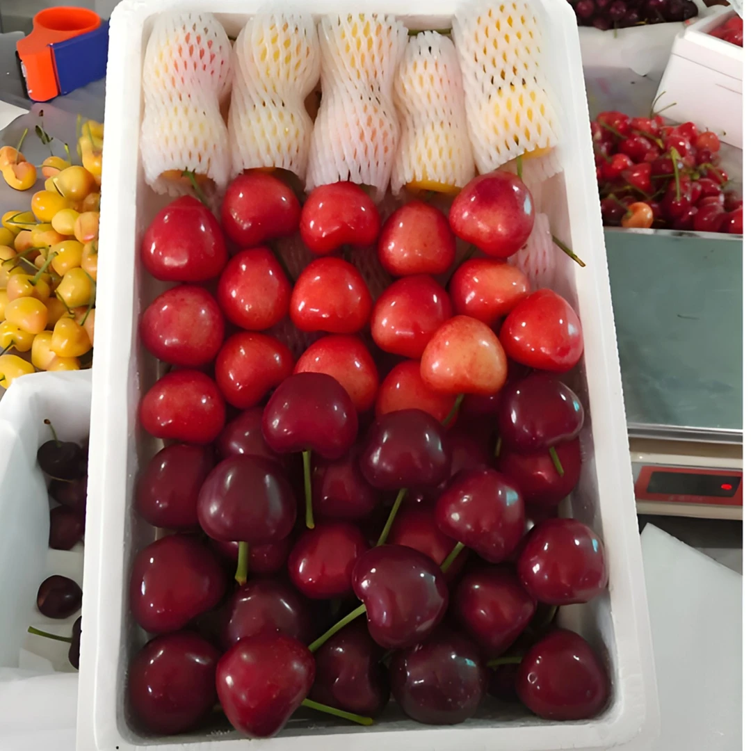 山东大樱桃美早布鲁克斯双拼现摘现发JJ5斤装顺丰空运