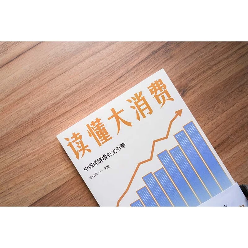 读懂大消费 2025年解读中国经济全新力作刘世锦迟福林等重磅发声