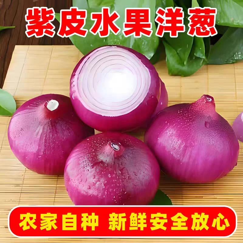 新鲜现挖当季紫皮红洋葱深紫色生吃水果洋葱圆葱蔬菜批发包邮