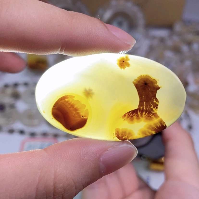 【闪购商品】玛瑙/玉髓颈饰合金