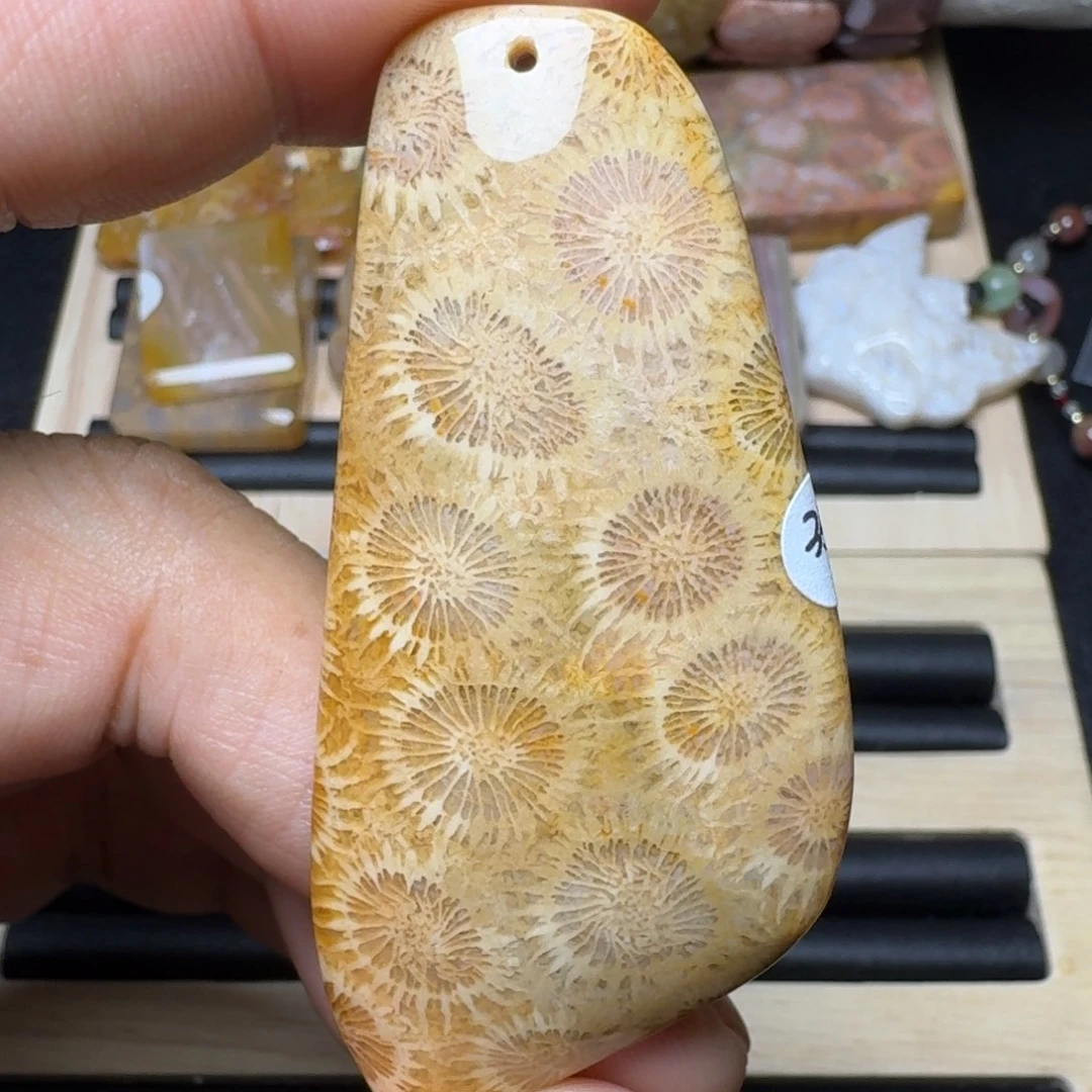 未镶嵌纯天然色有机玉石保真色硅化玉