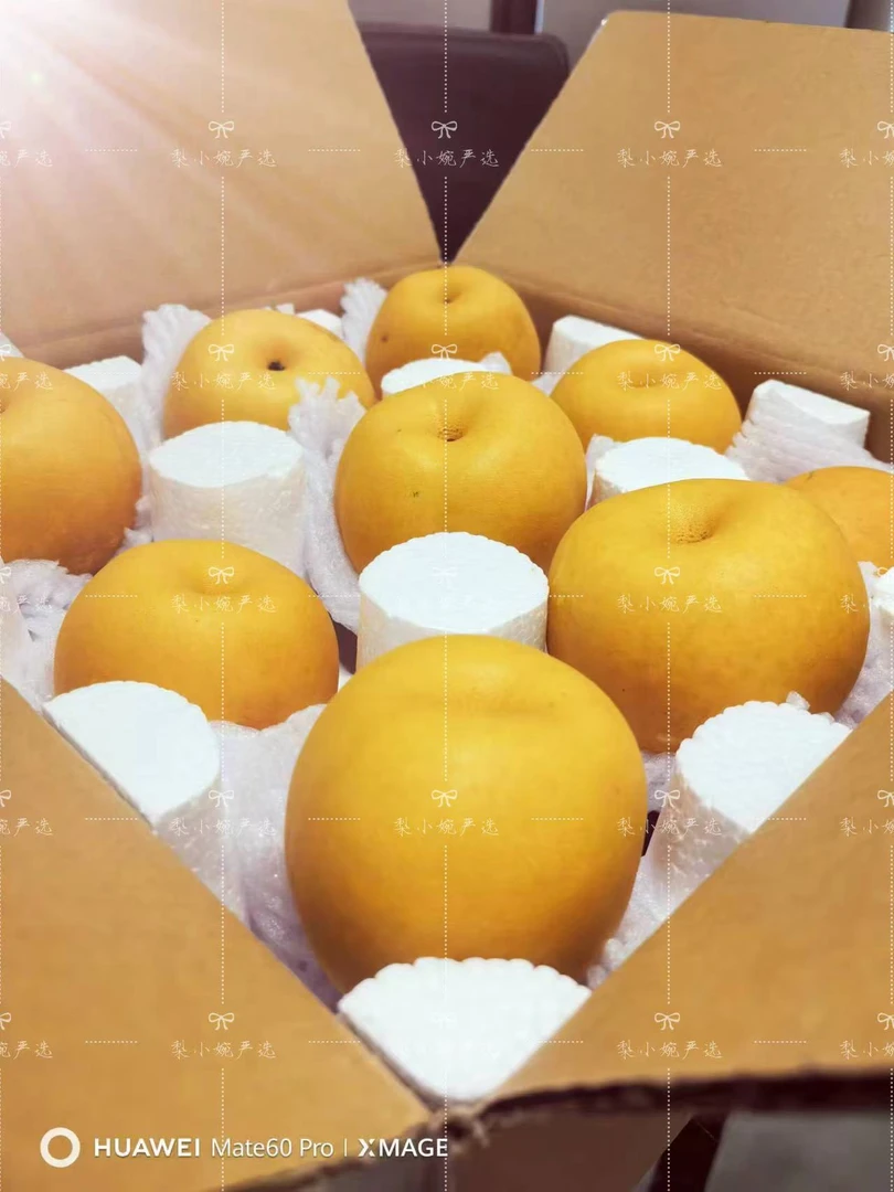 【家庭装】果园现采直发百里洲翠冠梨大果6-9只新鲜好吃