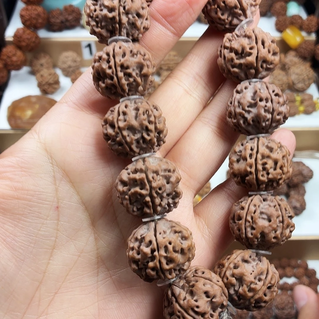 手串金刚菩提稀有精品梅花千金盘龙大尺寸