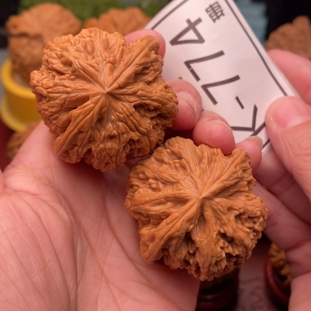 把件桃核粗筋42……