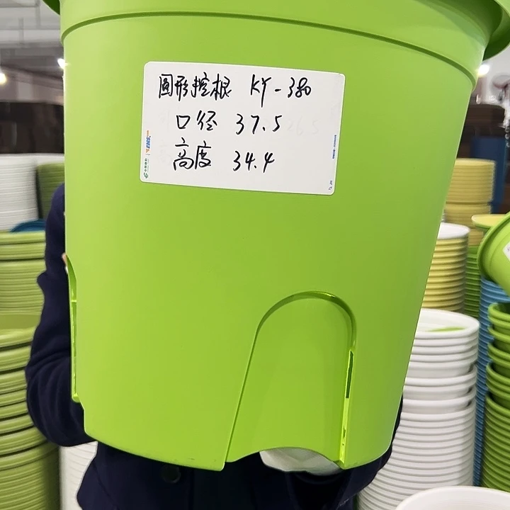 正品圆控口38高34果绿3只无托