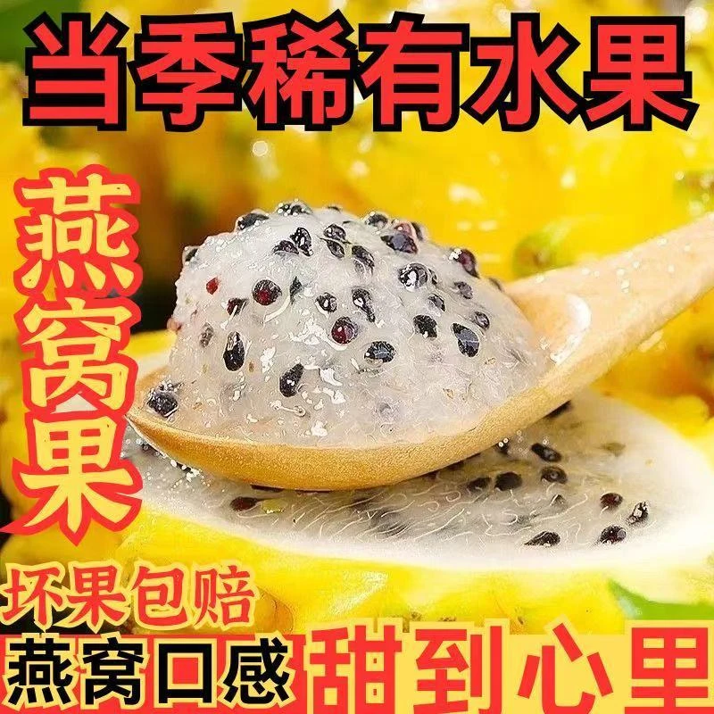 海南麒麟燕窝果新鲜水果现摘黄皮白心火龙果水果