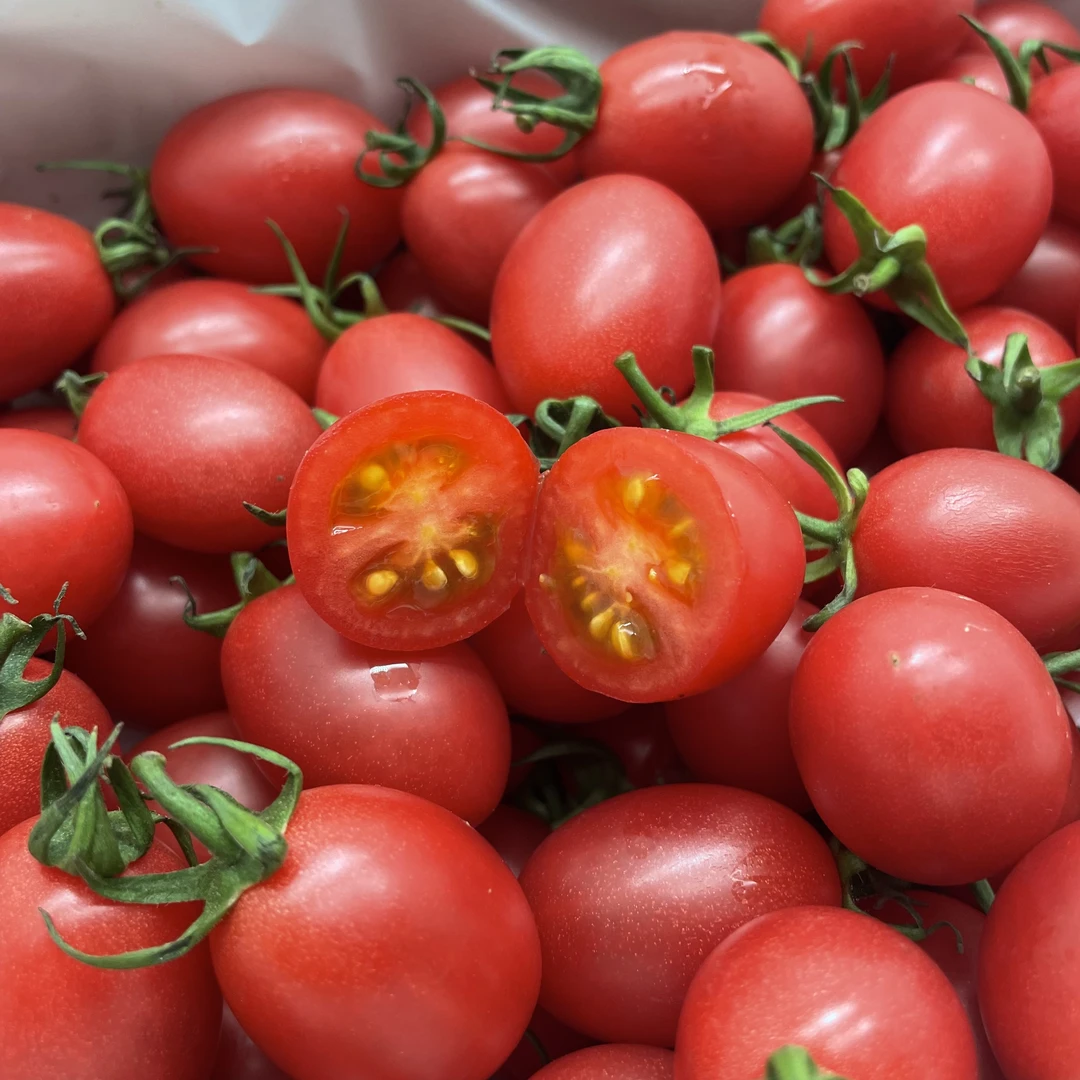 【脆甜爆汁】红果番夫子 整箱1.1kg 新疆包邮