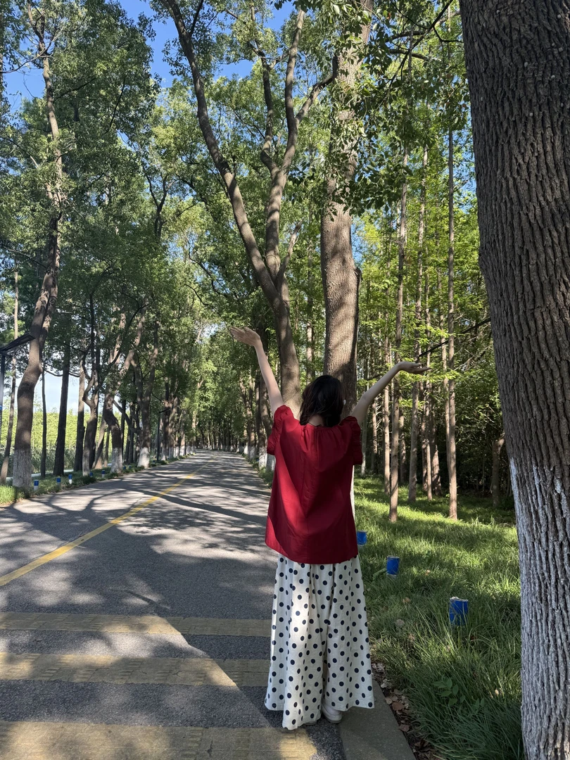 【蓝胡子数字编码链接】日系文艺复古衬衫连衣裙裤子马甲合集