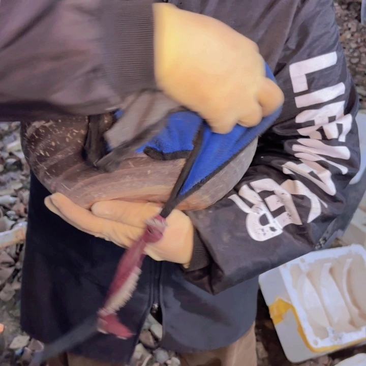 花盆紫砂 透气 口径 高度