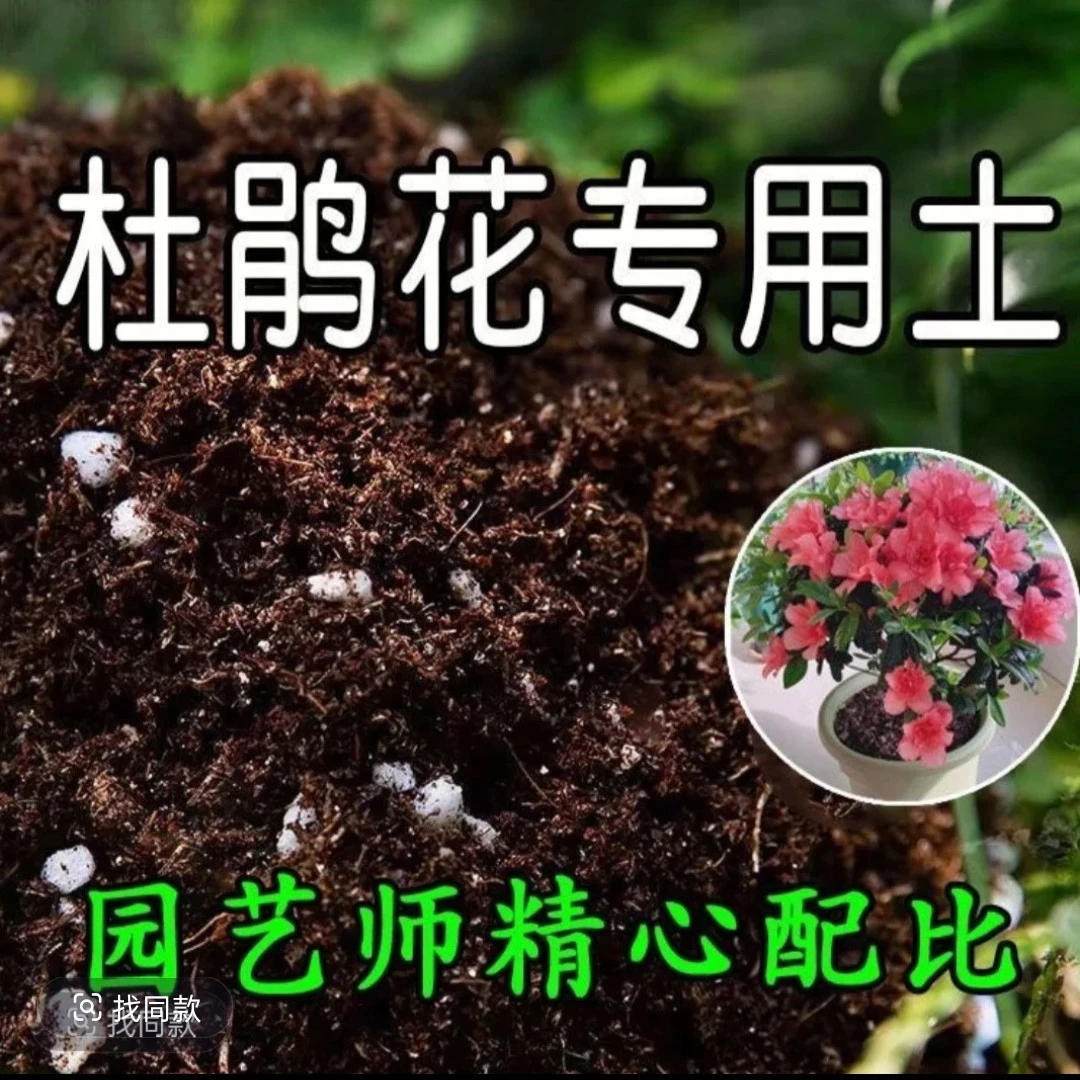杜鹃花专用营养土顺丰包邮【6斤装】
