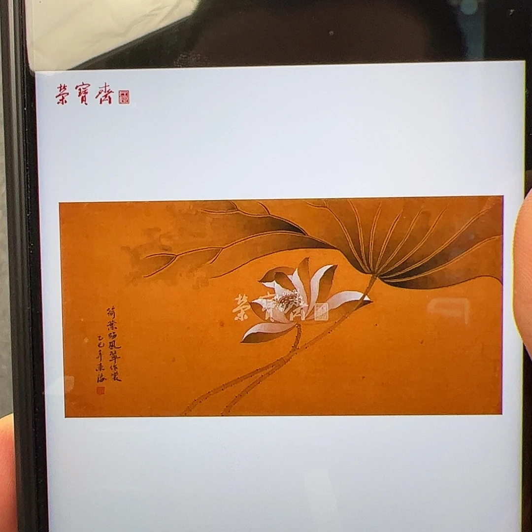 （f33095）荷叶 书画
