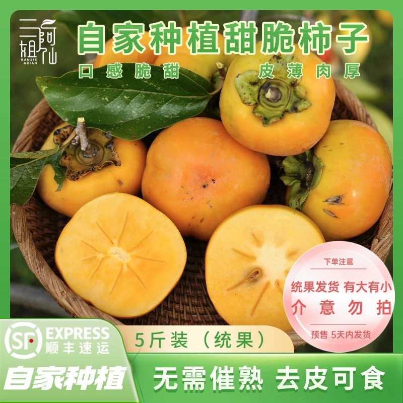 自家种植新鲜甜脆柿子生吃口感脆甜5斤顺丰包邮