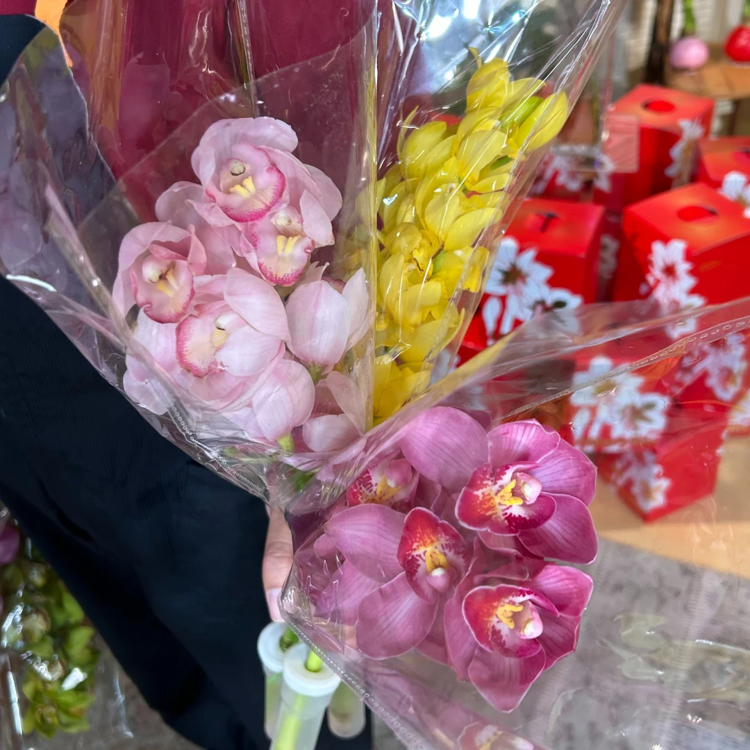 大花蕙兰：3枝短腿混色随机【任意两单包邮】