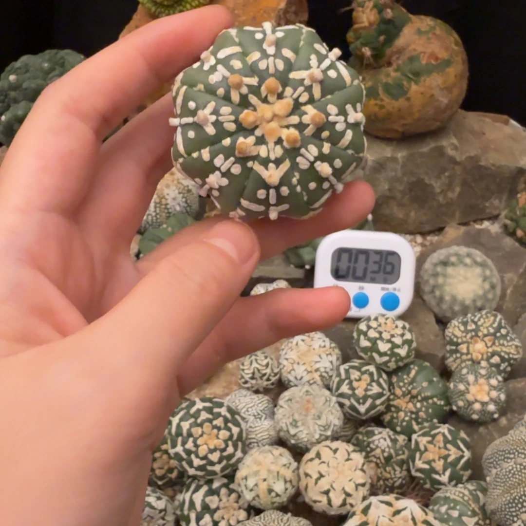 迪****v兜哈哈哈哈哈哈哈哈哈