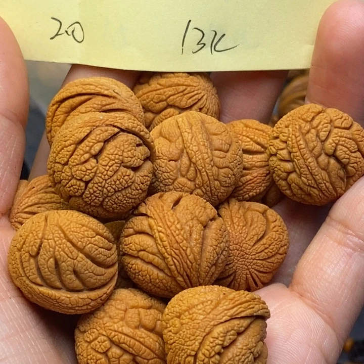 吊坠桃核秦岭龙纹桃核20尺寸