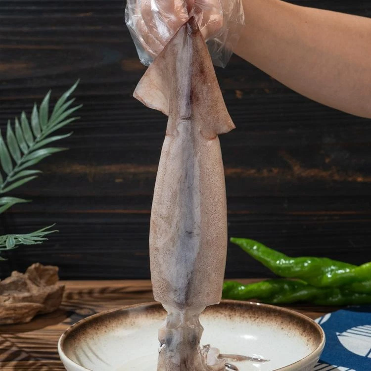 大鱿鱼渤海湾深海小网捕捞 肉质脆嫩弹牙营养丰富3条不泡水不泡药