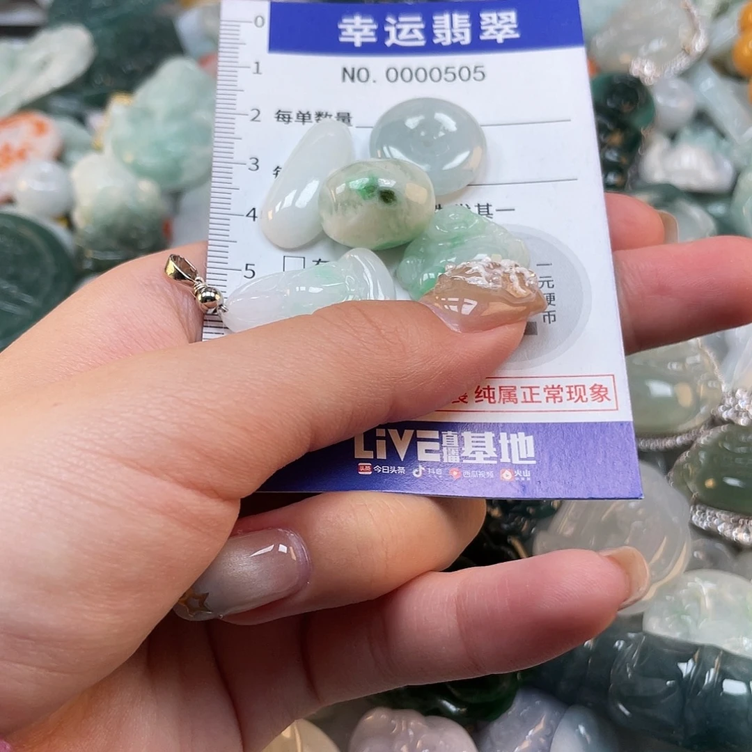 翡翠未镶嵌颈饰505