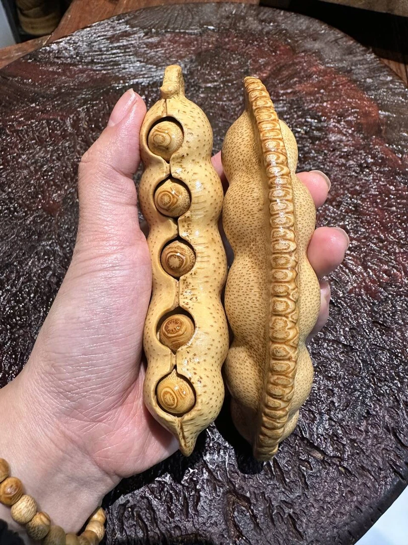 （大5眼竹根雕四季豆）纯手工精工雕刻满钉突钉活籽竹根雕手把件