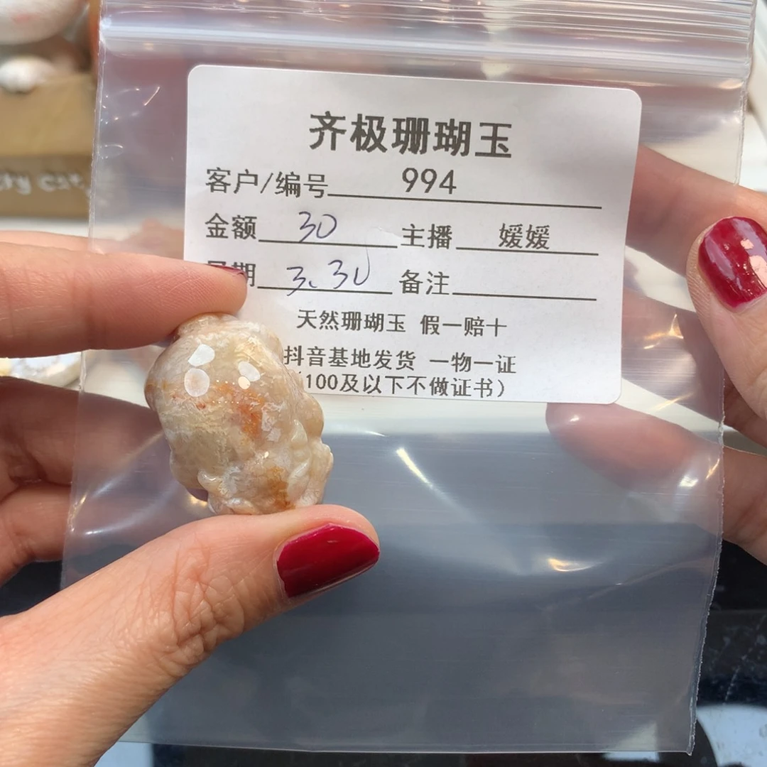 硅化珊瑚（珊瑚玉）未镶嵌颈饰西***虫