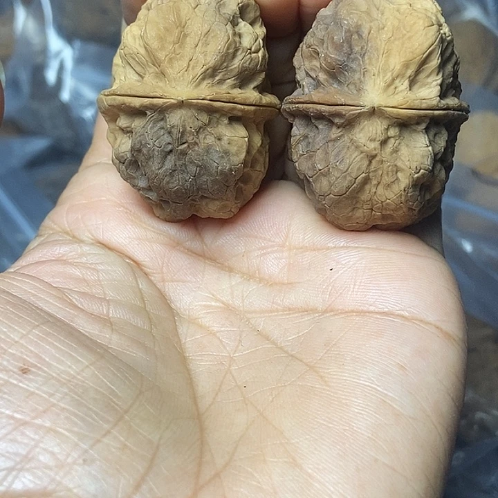 把件文玩核桃云南铁核桃基地22