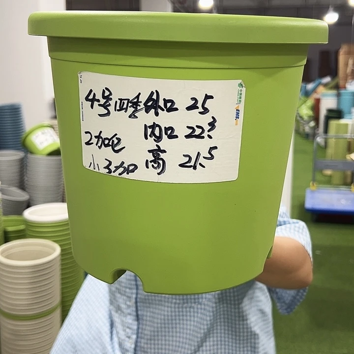 特价4号四季口25高21.5果绿八只无托