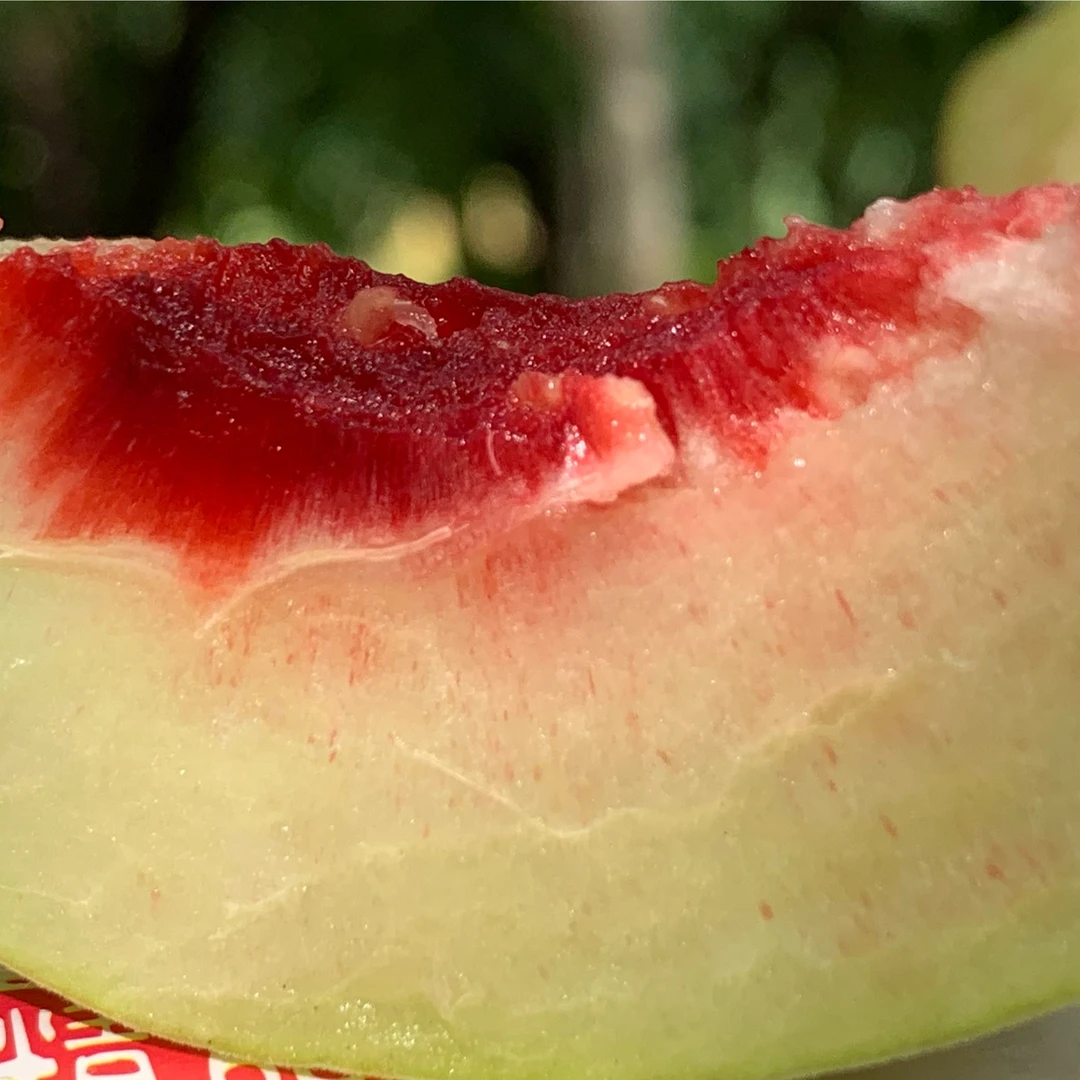 好友提正宗连平鹰嘴蜜桃新鲜现摘当季水果红心脆甜多汁鹰嘴桃