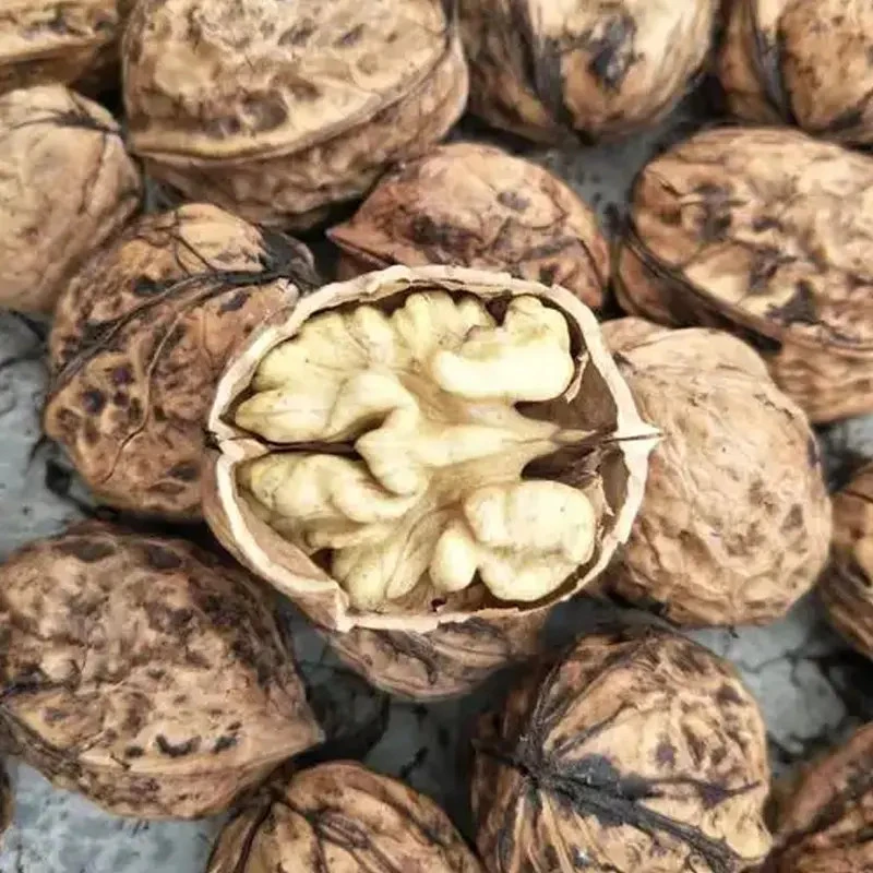 【镯子助农】农家山货干货核桃2斤/5斤装