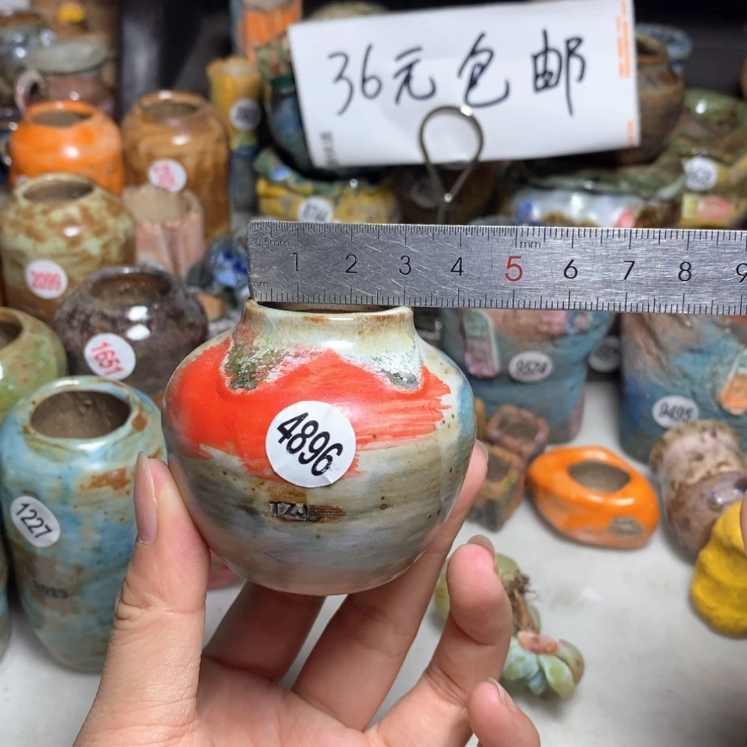 拍5送一个小礼物