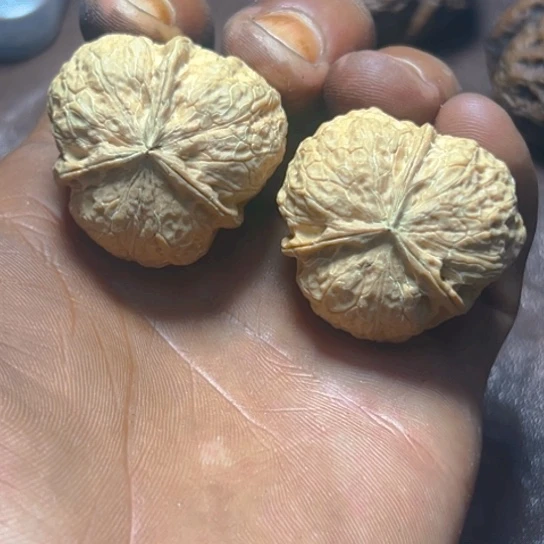 把件文玩核桃卡34蚂蚱头三弟27号