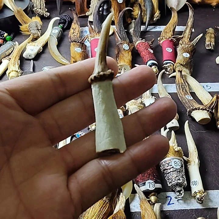 鸿乐堂直播间选货