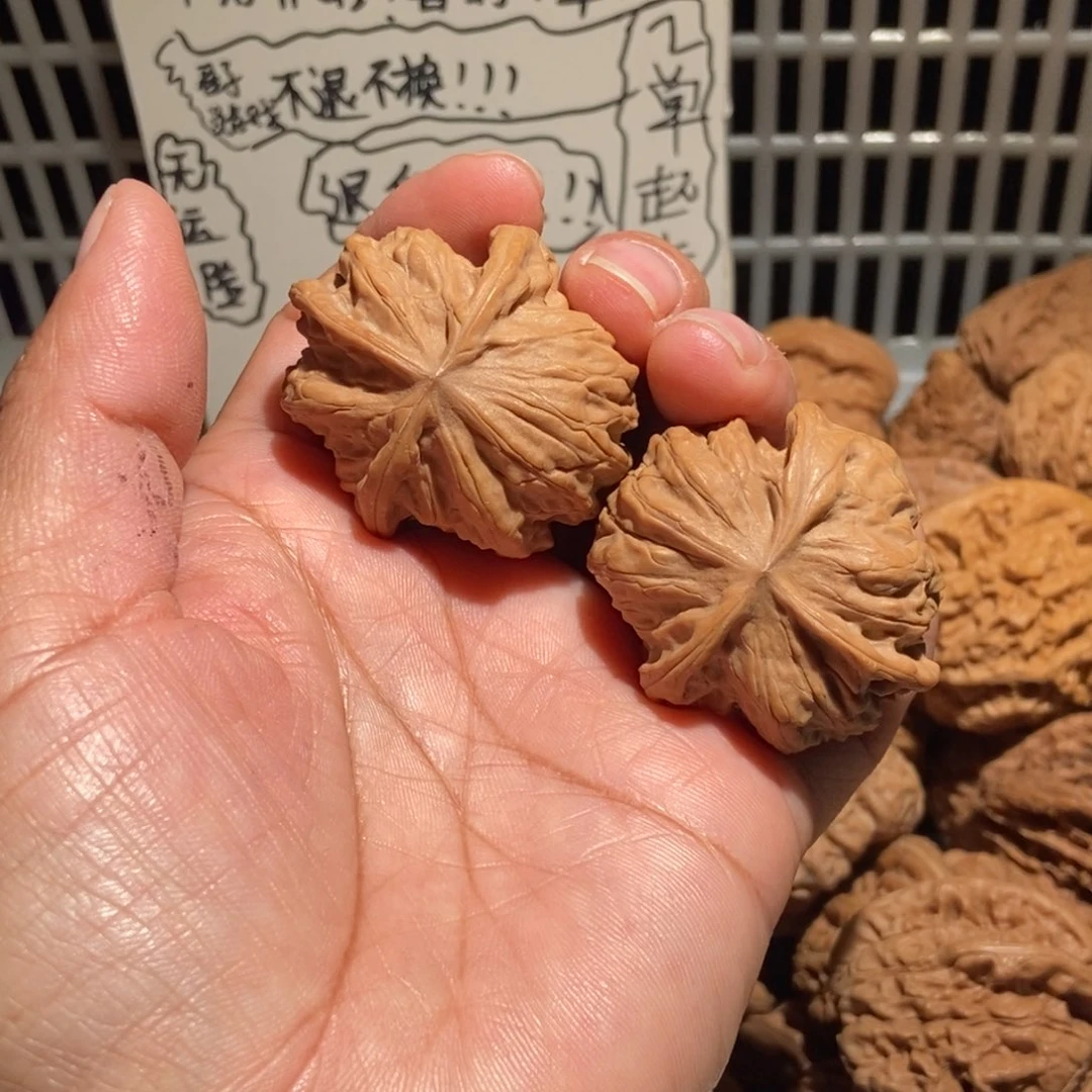 不***去核桃野狼三棱鸳鸯对