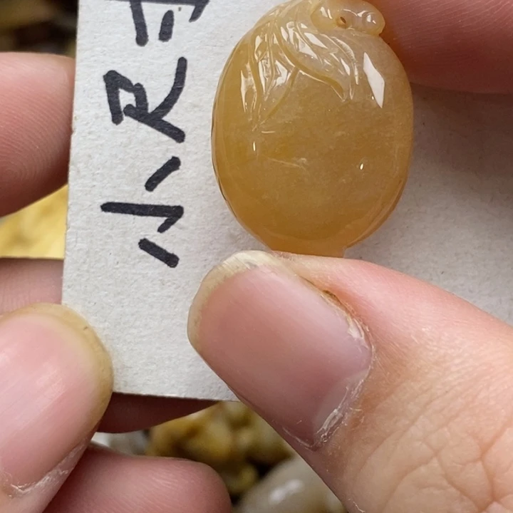 硅化珊瑚（珊瑚玉）未镶嵌颈饰