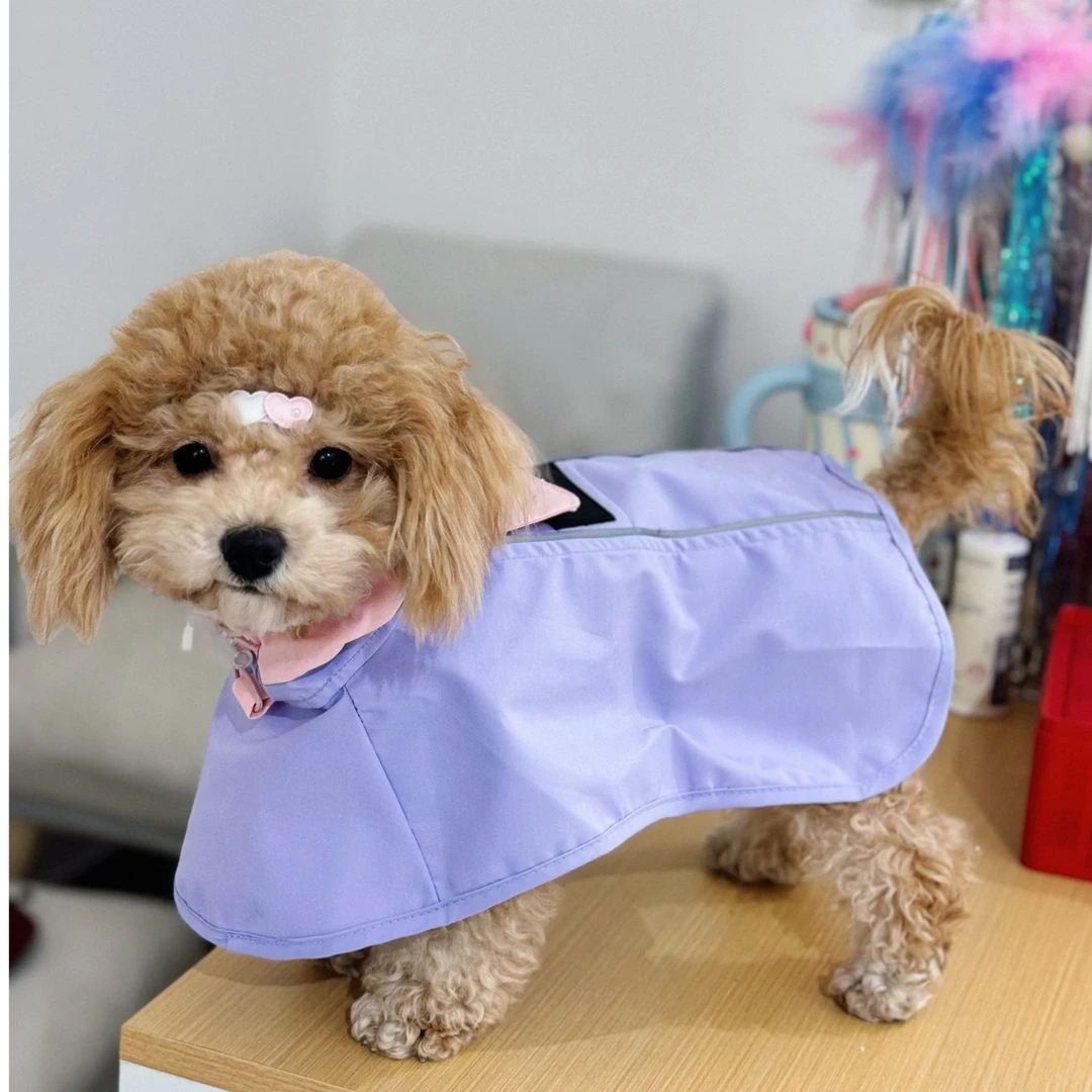 撞色披风式雨衣（不束缚后腿）