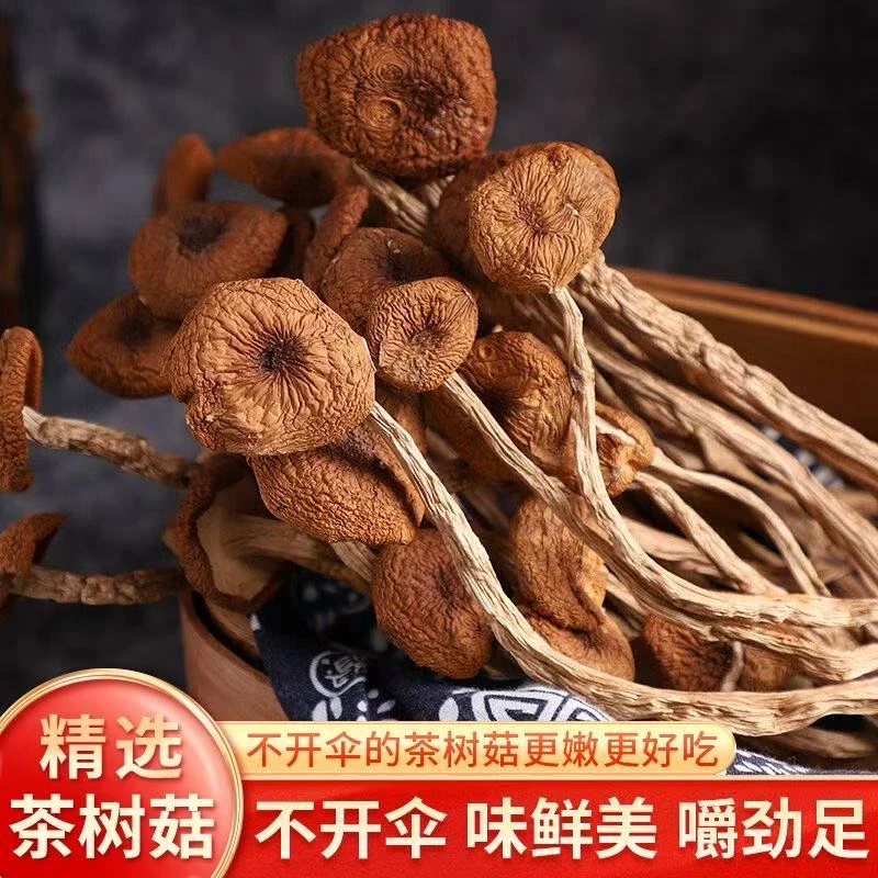 拍1发3茶树菇干货净重古田农家新鲜茶树菇晒干特产新货批发煲汤