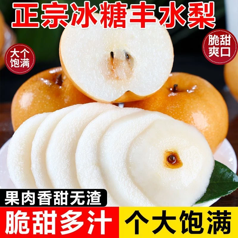 【冰糖丰水梨】山东冰糖丰水梨脆甜多汁新鲜现摘现发当季4.5-5斤