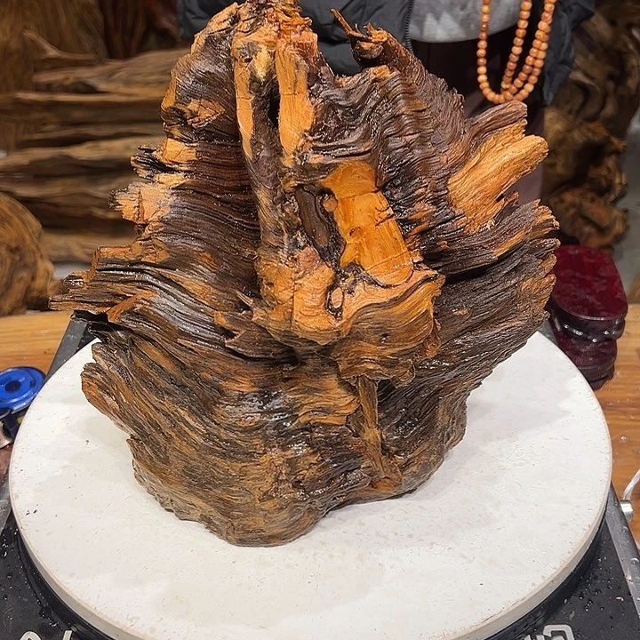 松木（琥珀木）深*