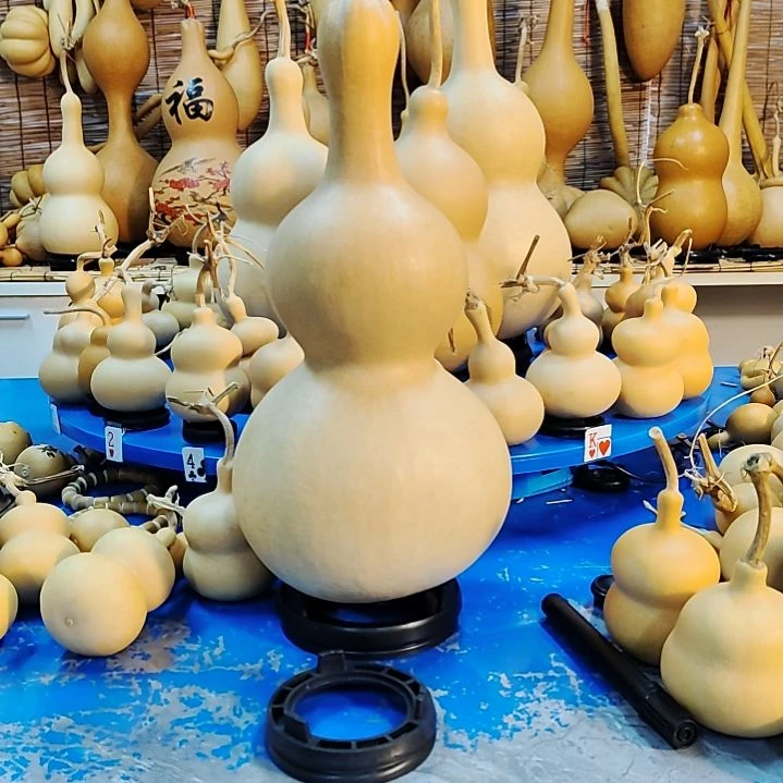 一***山他他他他他他他他他他