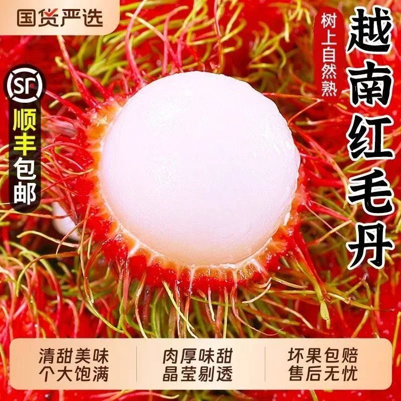 【顺丰次日达】泰国越南进口红毛丹现摘现发当季新鲜孕妇水果毛荔枝